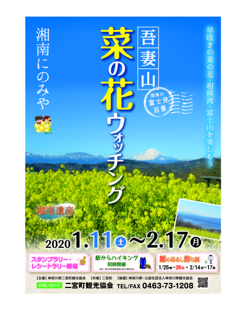 二宮町 吾妻山公園 菜の花ウォッチングが始まります ハッピーにのみやライフ