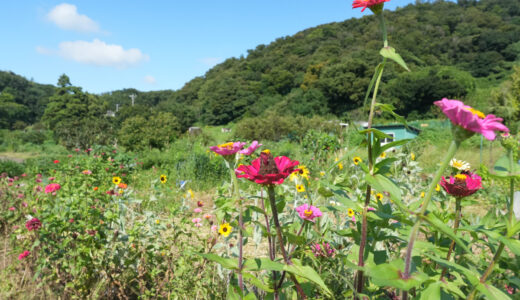 吾妻山の麓、子供の頃からずっと好きな場所